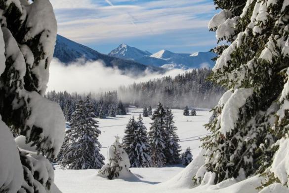 Le Flocon-Studio Cabine-Balcon 4-6 Pers A 100M Des Pistes Chamrousse Dış mekan fotoğraf