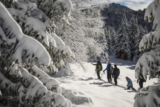 Le Flocon-Studio Cabine-Balcon 4-6 Pers A 100M Des Pistes Chamrousse Dış mekan fotoğraf